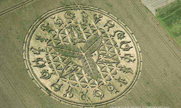 Crop circles : une réalisation exceptionnelle … d’origine humaine !